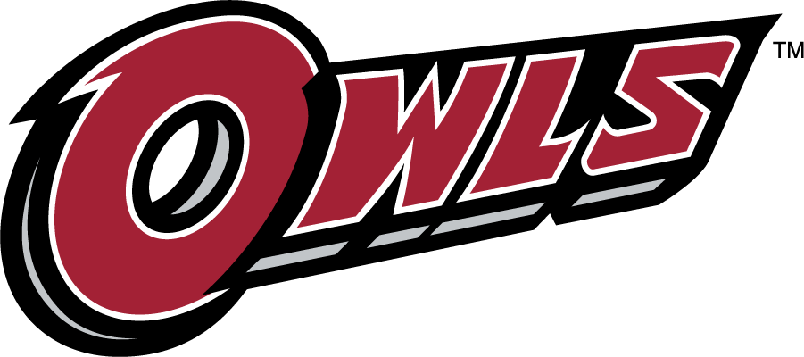 Temple Owls 2014-2020 Wordmark Logo t shirts iron on transfers